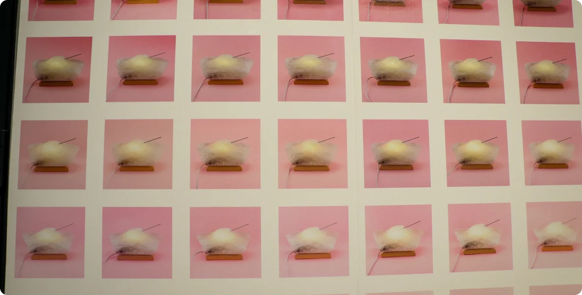 18_Лія та Андрій Достлєви «Зализуючи рани війни»