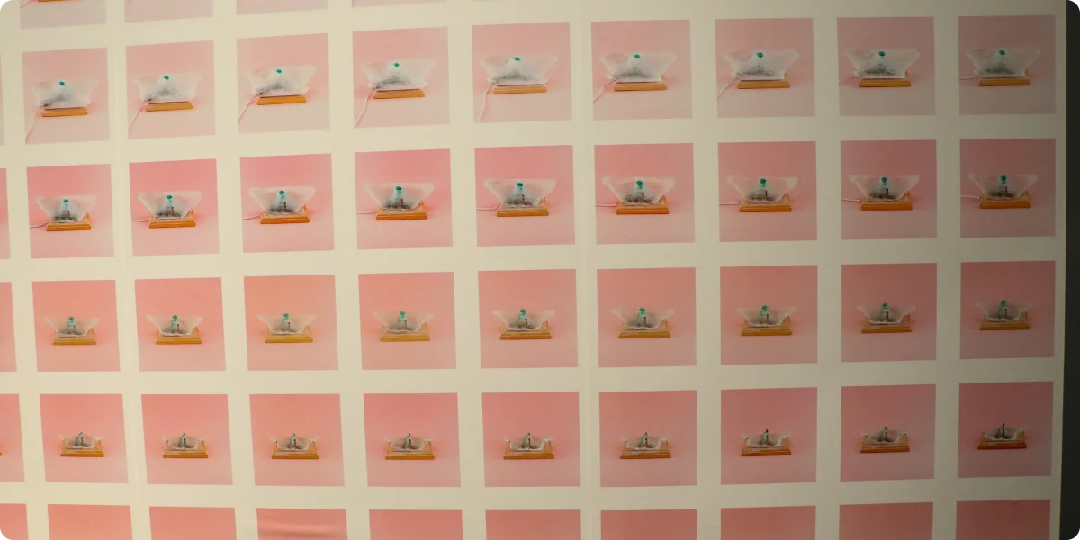 20_Лія та Андрій Достлєви «Зализуючи рани війни»