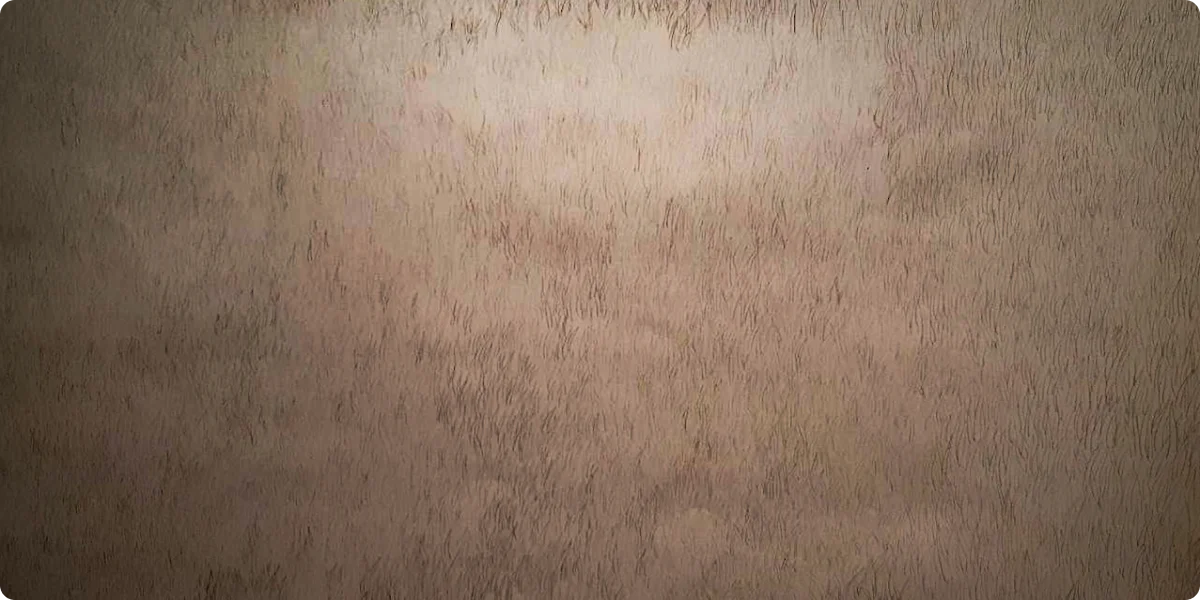 33_Анна Звягінцева «Запілля»