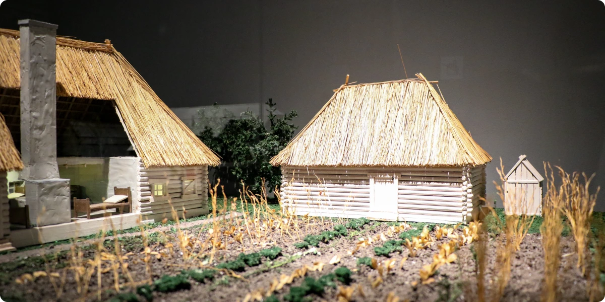 «Відкрита Група» «Задній двір»_10