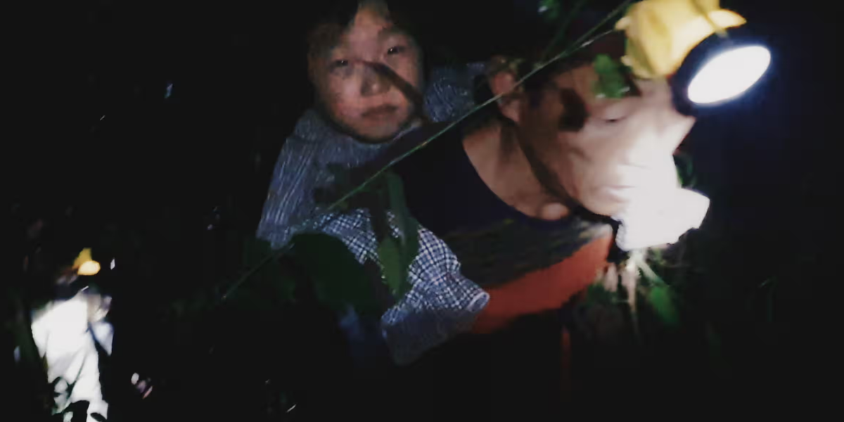 «За межами утопії» (Beyond Utopia) кадр з фільму