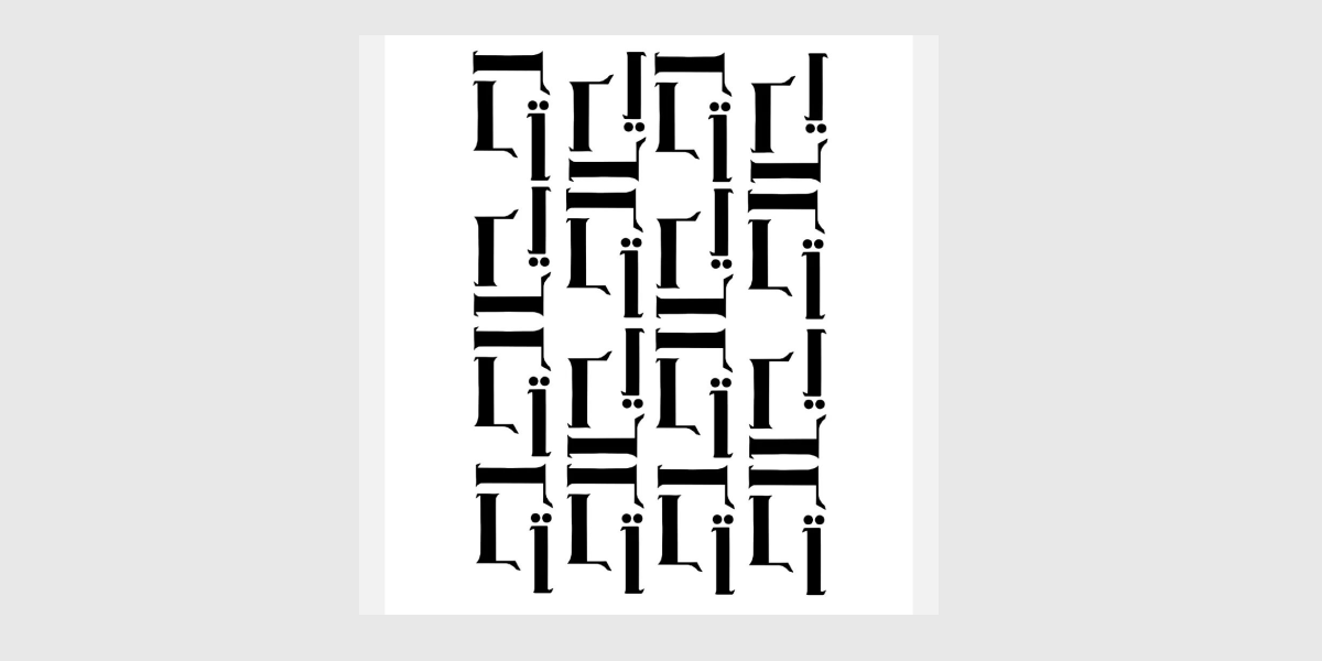 Кулана Світлинич, Зоряна ніч