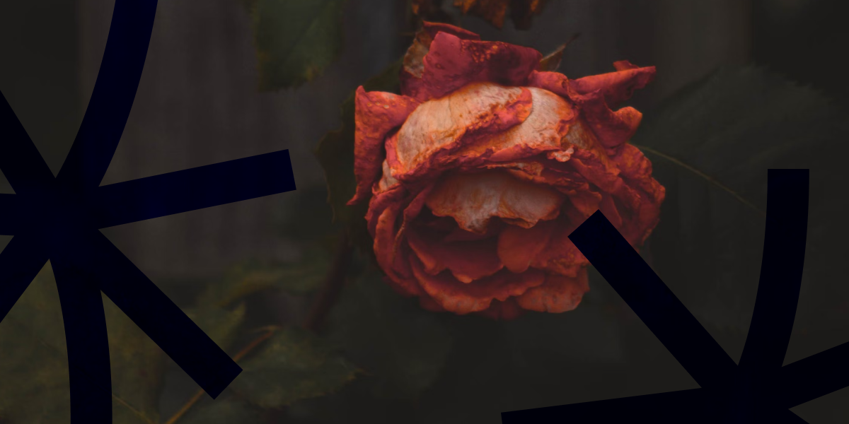 Мова, якою говорять про смерть