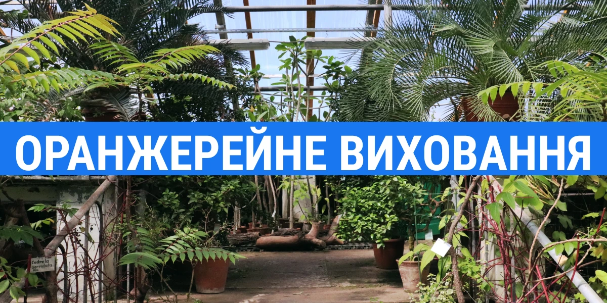 Персонажі та сюжет книги