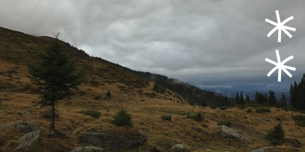 Пошук зцілення