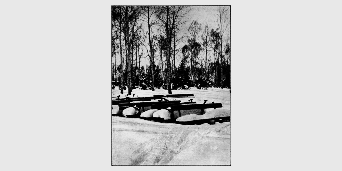 фотоетюд О. Борисов