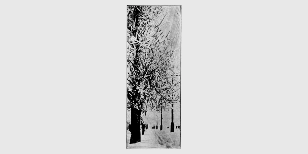 фотоетюд «Зима» О. Борисов