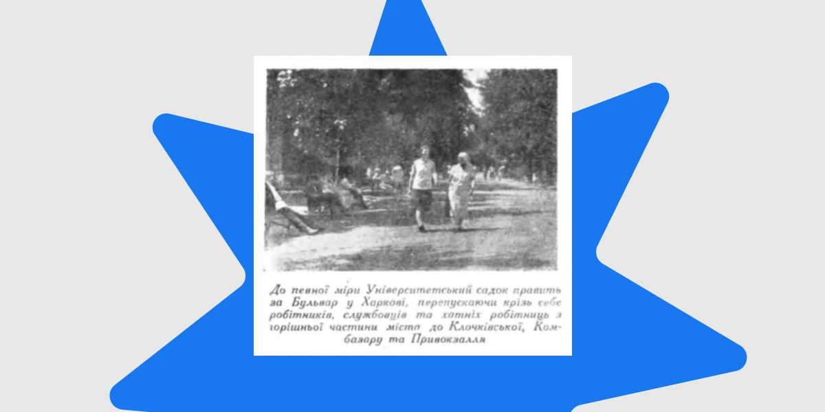 Чудаки прикрашають світ (1)