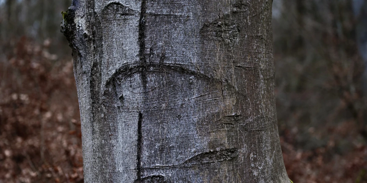 Рецензія. Повернення-3