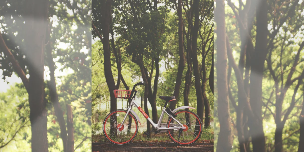 Frame (1)