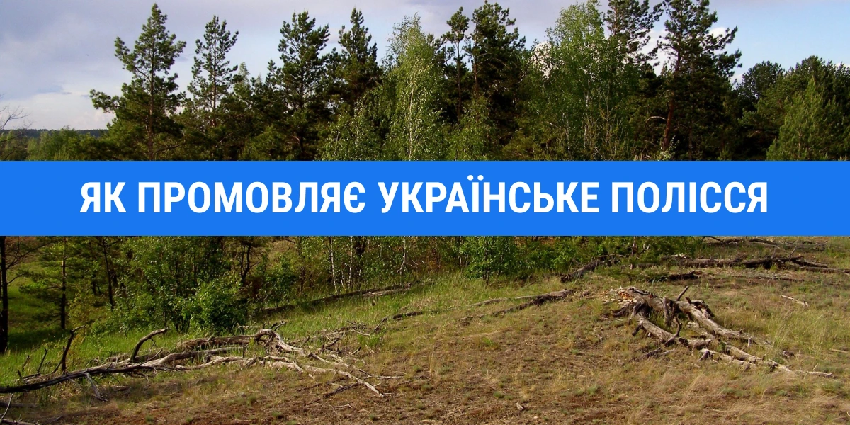 Коли мертві мовчать-1