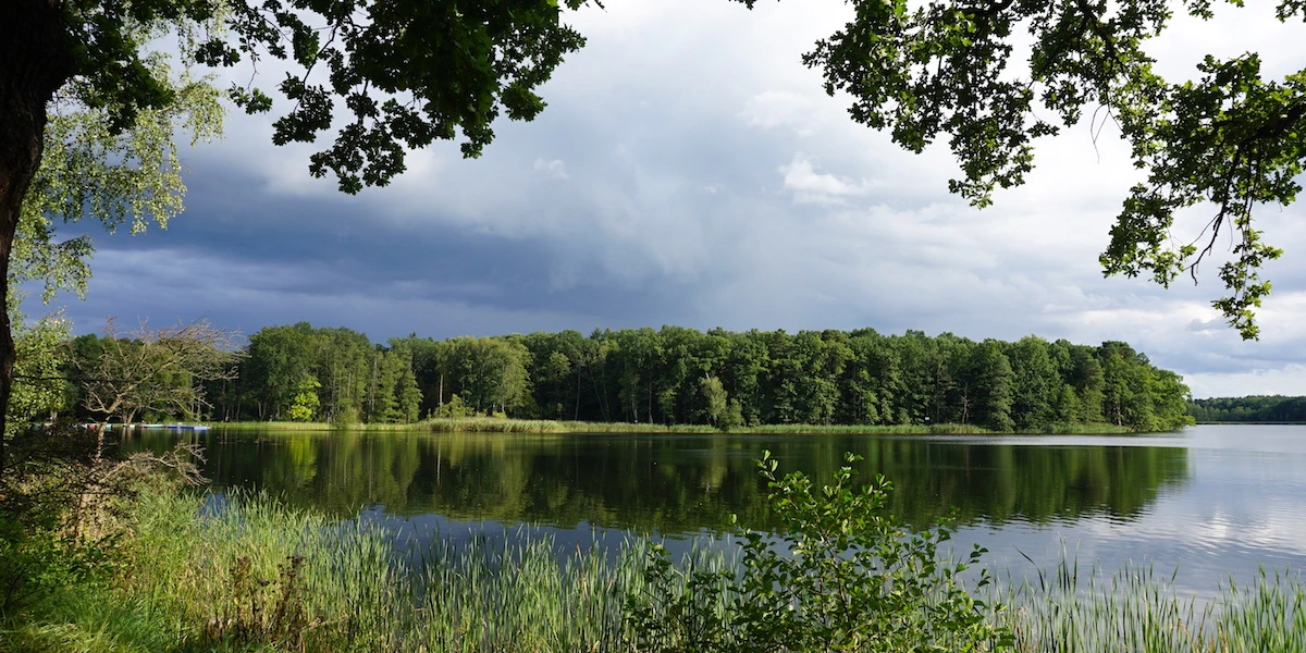 Прокляття дому-1