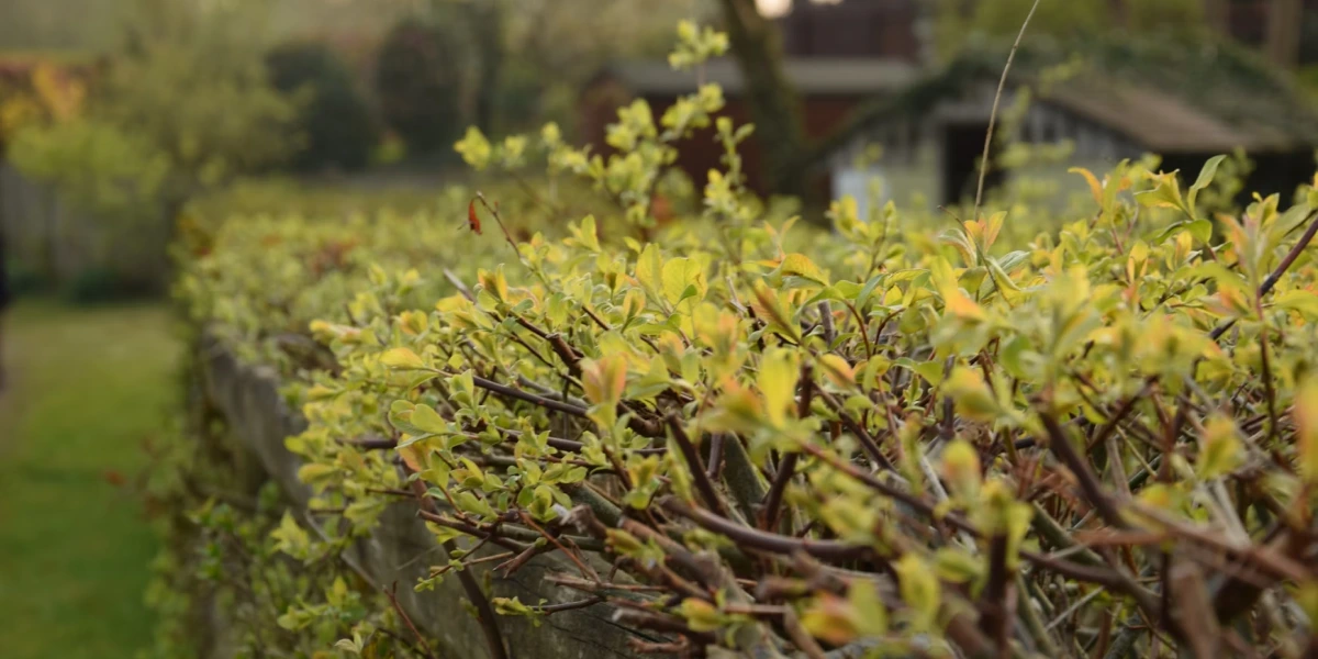 Прокляття дому-3