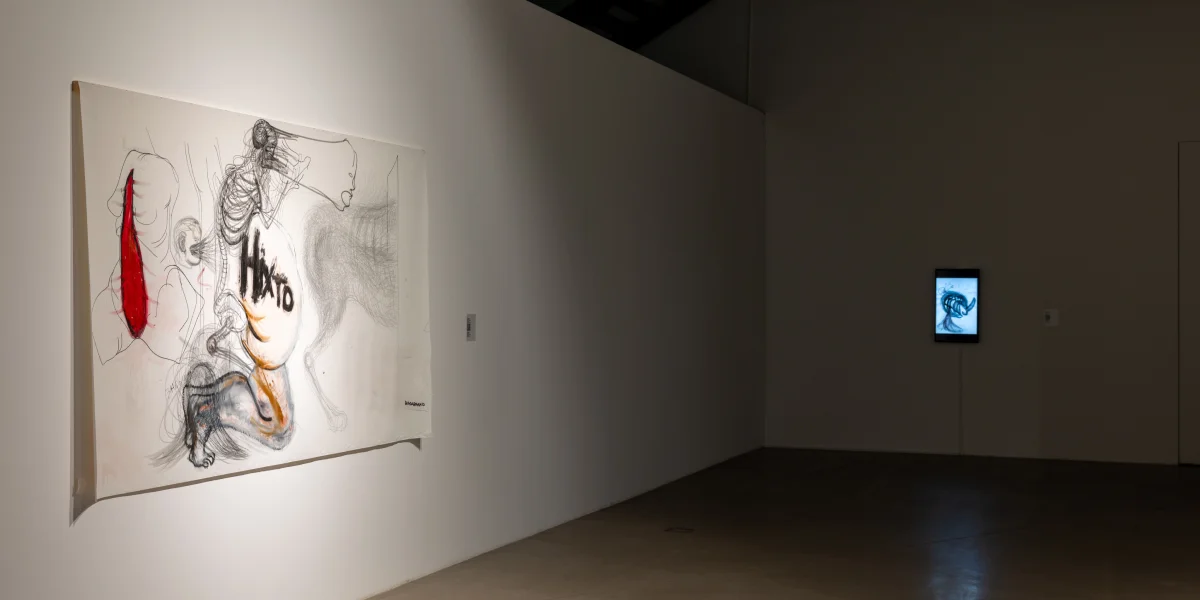 Роботи Влади Ралко «Ніхто» та «Львівський щоденник»