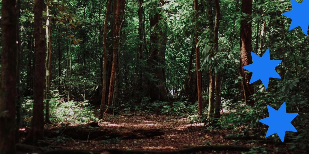 Убивця лісу-2