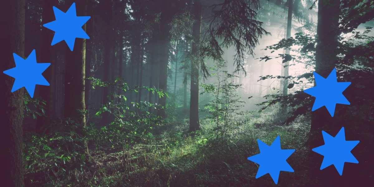 Убивця лісу